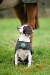 Hunter green matching horse and dog waterproof rug