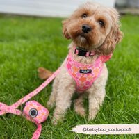 Summer bloom adjustable neck harness, lead & collar - Cocopup London