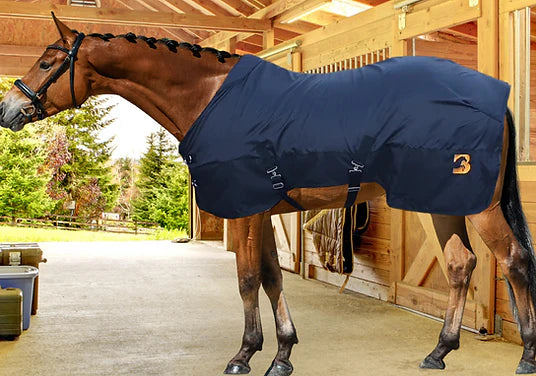 Magnetic horse rug - Equine Balance