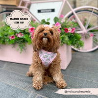 Daisy gingham adjustable neck harness