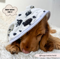 Dalmatian drying robe