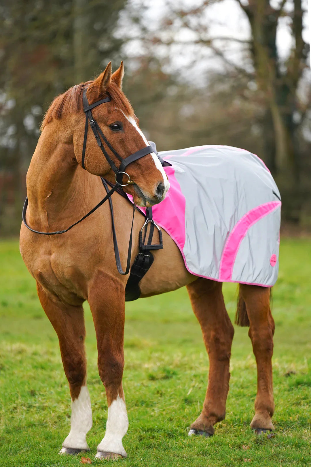 Pink hi vis reflected waterproof exercise sheet rug