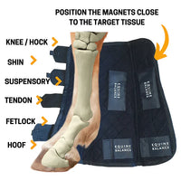 Magnetic Therapy Boots for Horses