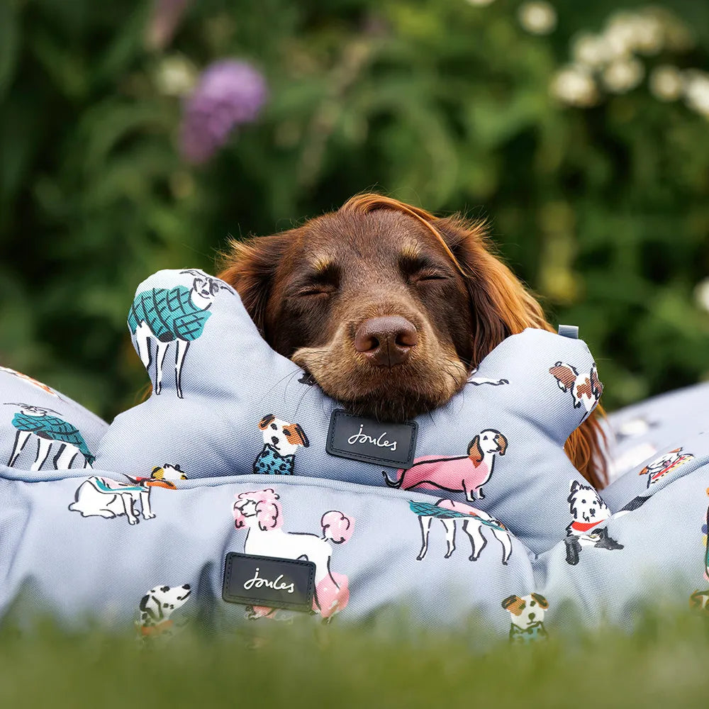 Joules dog blanket best sale