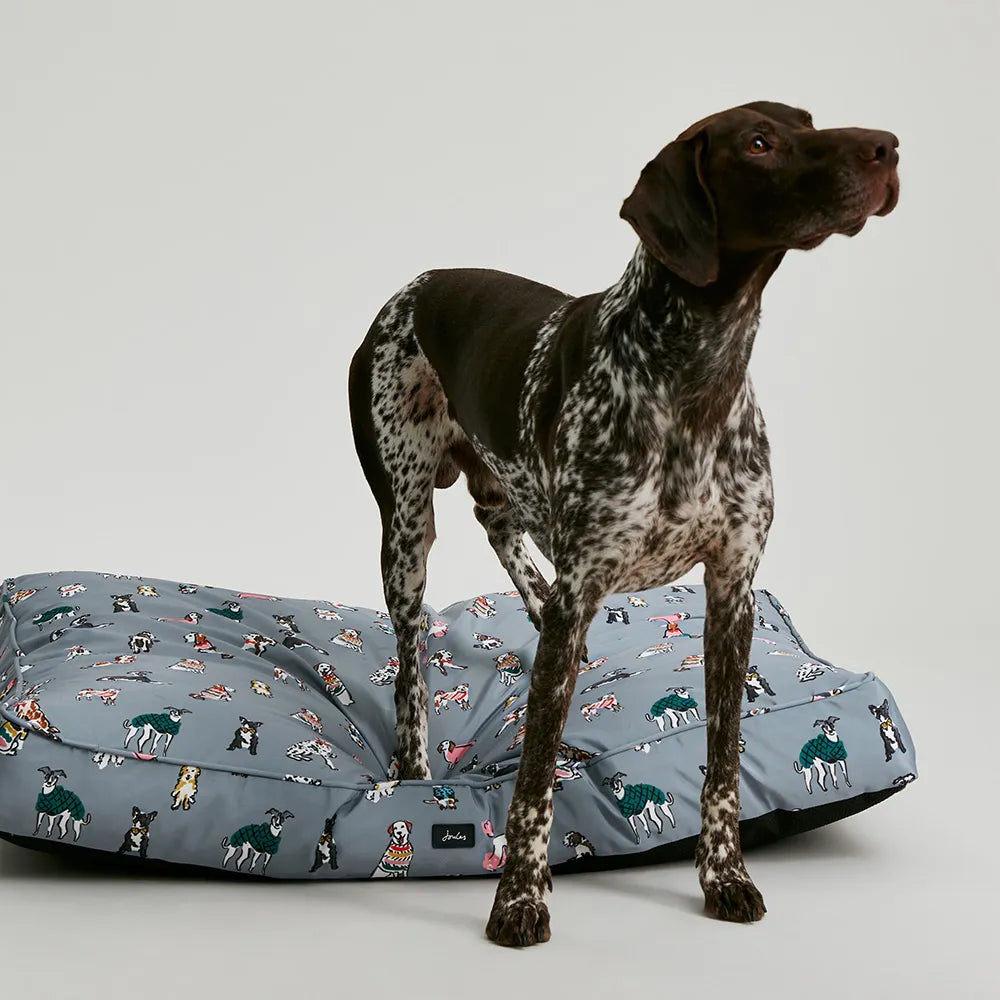 Joules rainbow dogs mattress