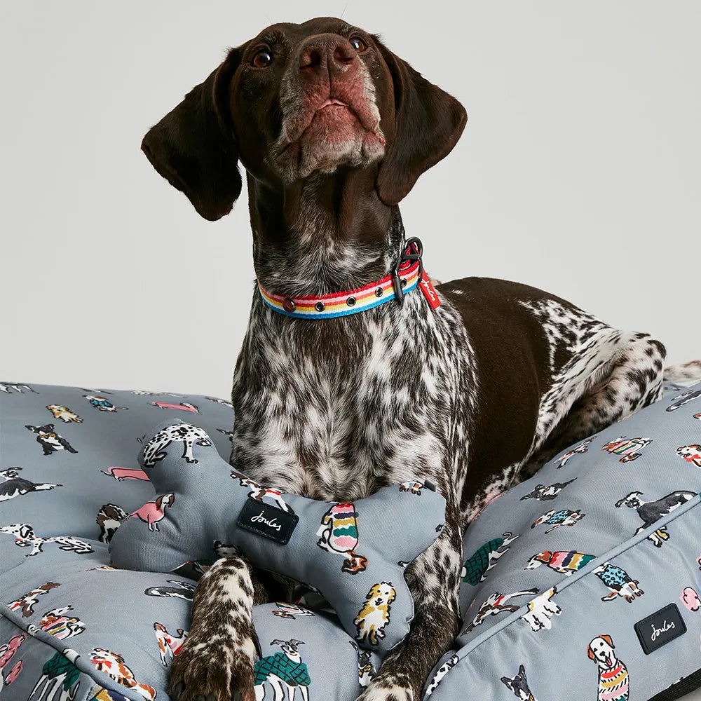 Joules rainbow dogs mattress