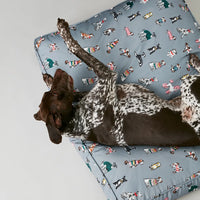 Joules rainbow dogs mattress