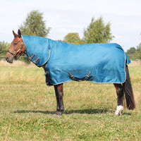 StormX empra 50 combi turnout rug