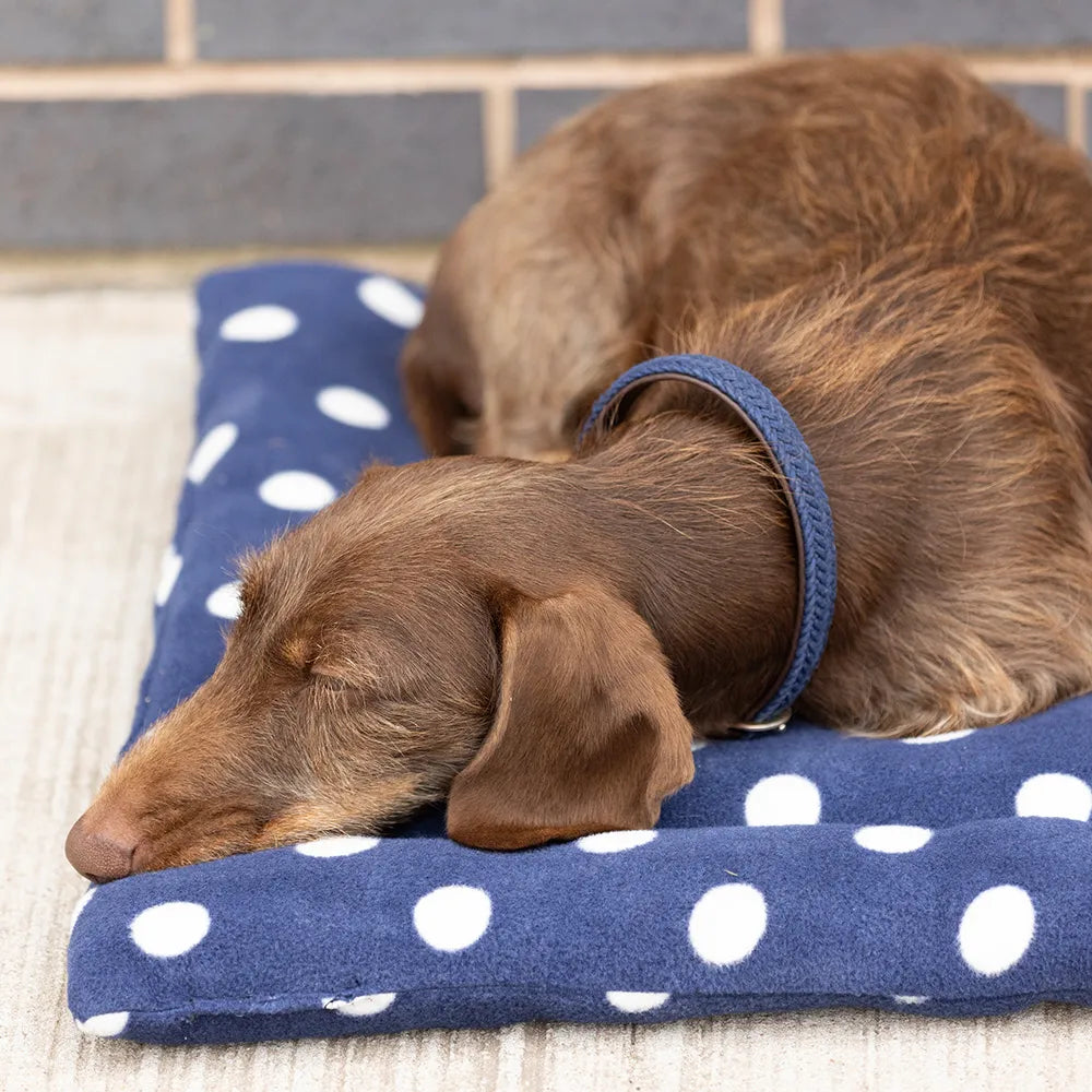 Supreme products dotty fleece dog bed