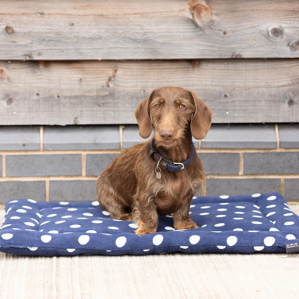 Supreme products dotty fleece dog bed