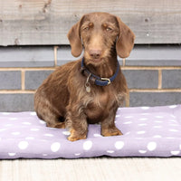 Supreme products dotty fleece dog bed