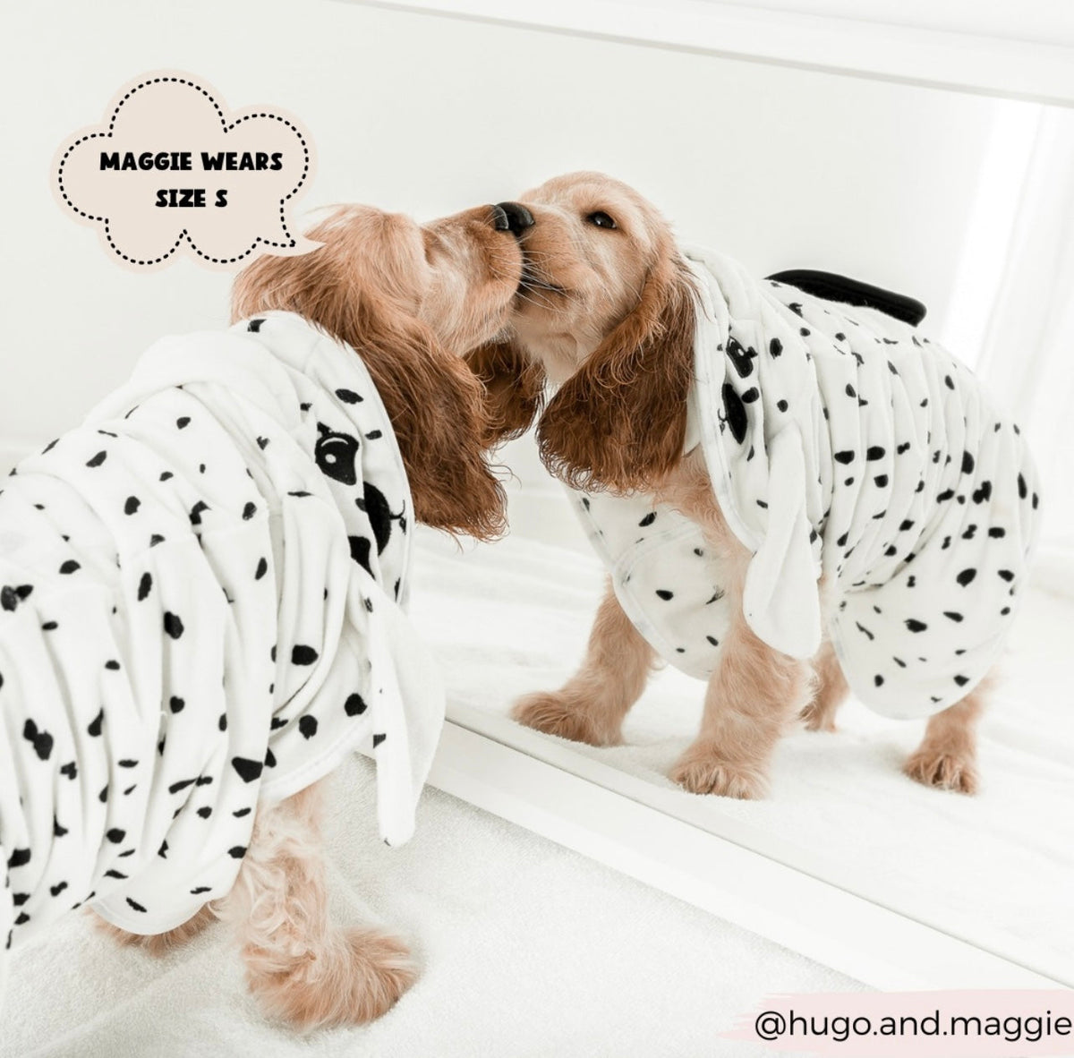 Dalmatian drying robe