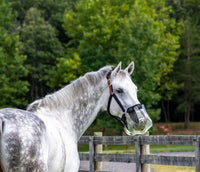 ThinLine Flexible Filly Grazing Muzzle