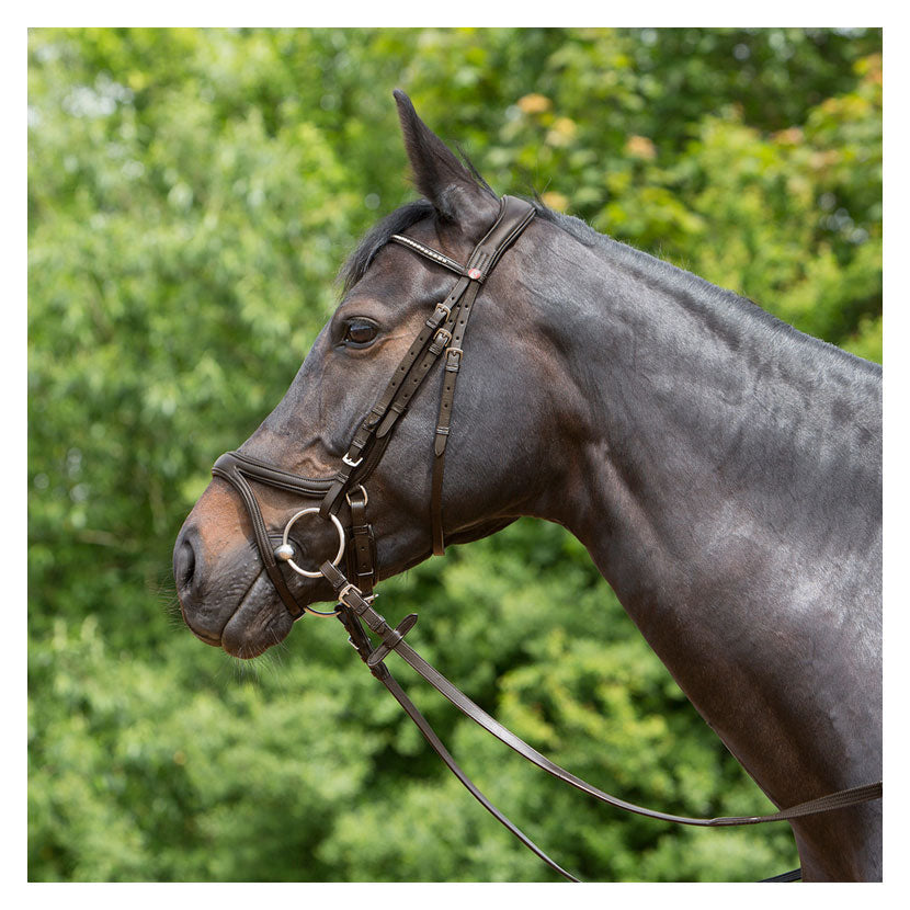 Kieffer ultrasoft amy snaffle bridle