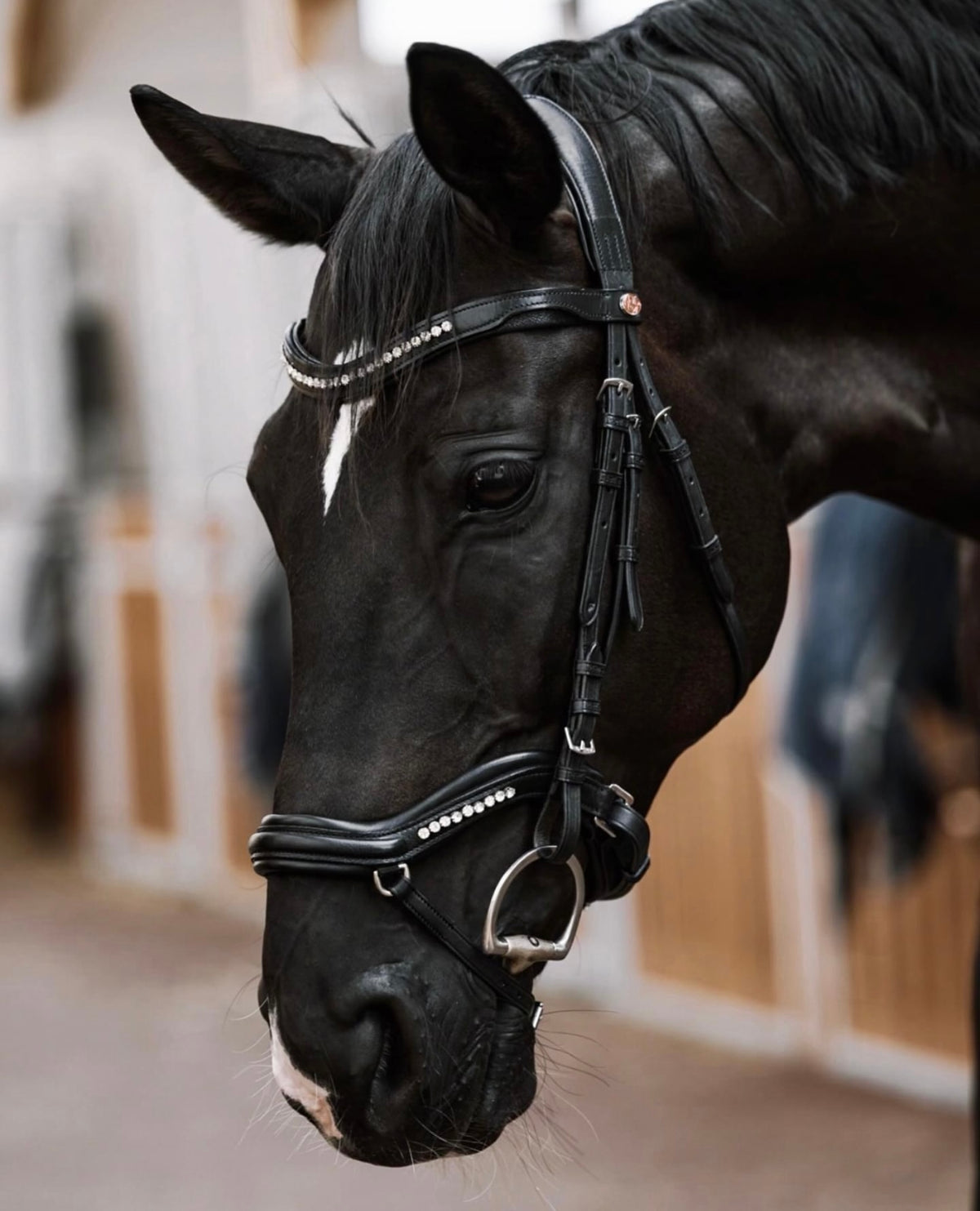 Kieffer ultrasoft® bridle - Luna