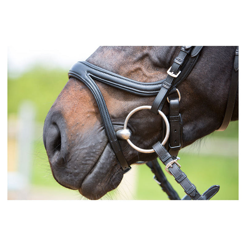 Kieffer ultrasoft amy snaffle bridle