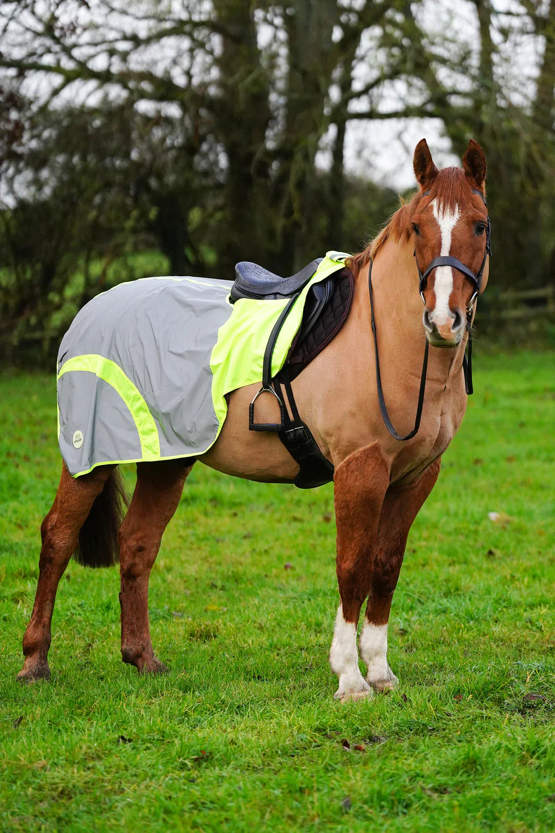 Yellow hi vis reflected waterproof exercise sheet rug