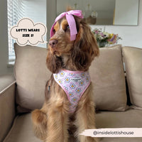 Daisy gingham adjustable neck harness