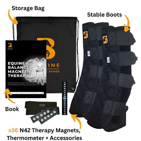 Magnetic Therapy Boots for Horses