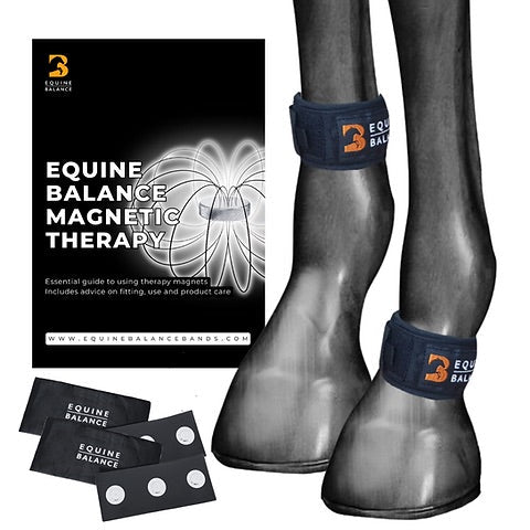 Magnetic Therapy Pastern Wraps by Equine Balance