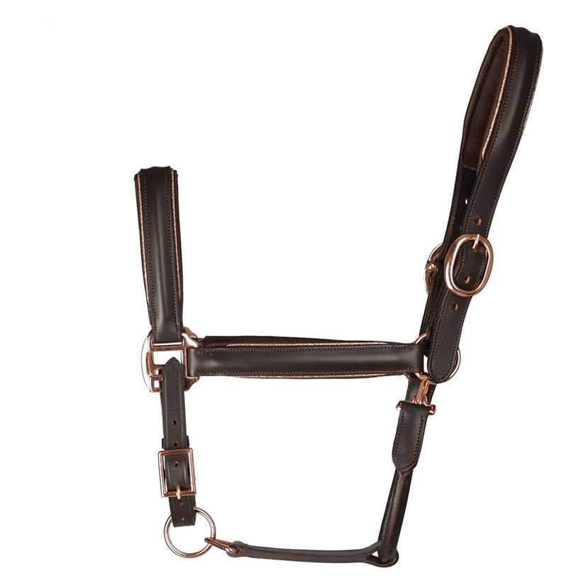 Hy Equestrian Chromatic Leather Head Collar