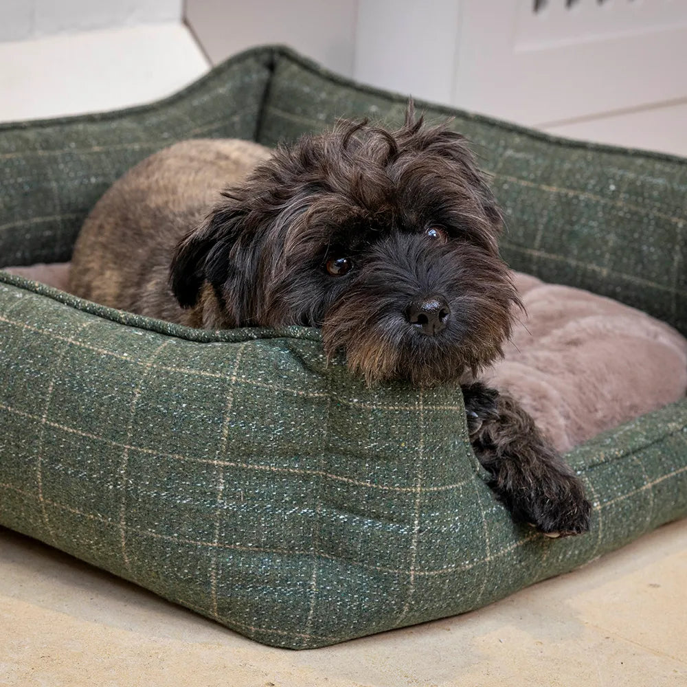 House of Paws moss tweed rectangle bed