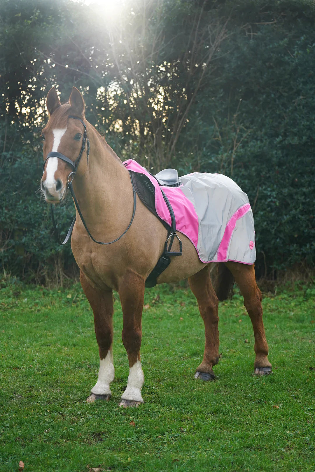 Pink hi vis reflected waterproof exercise sheet rug