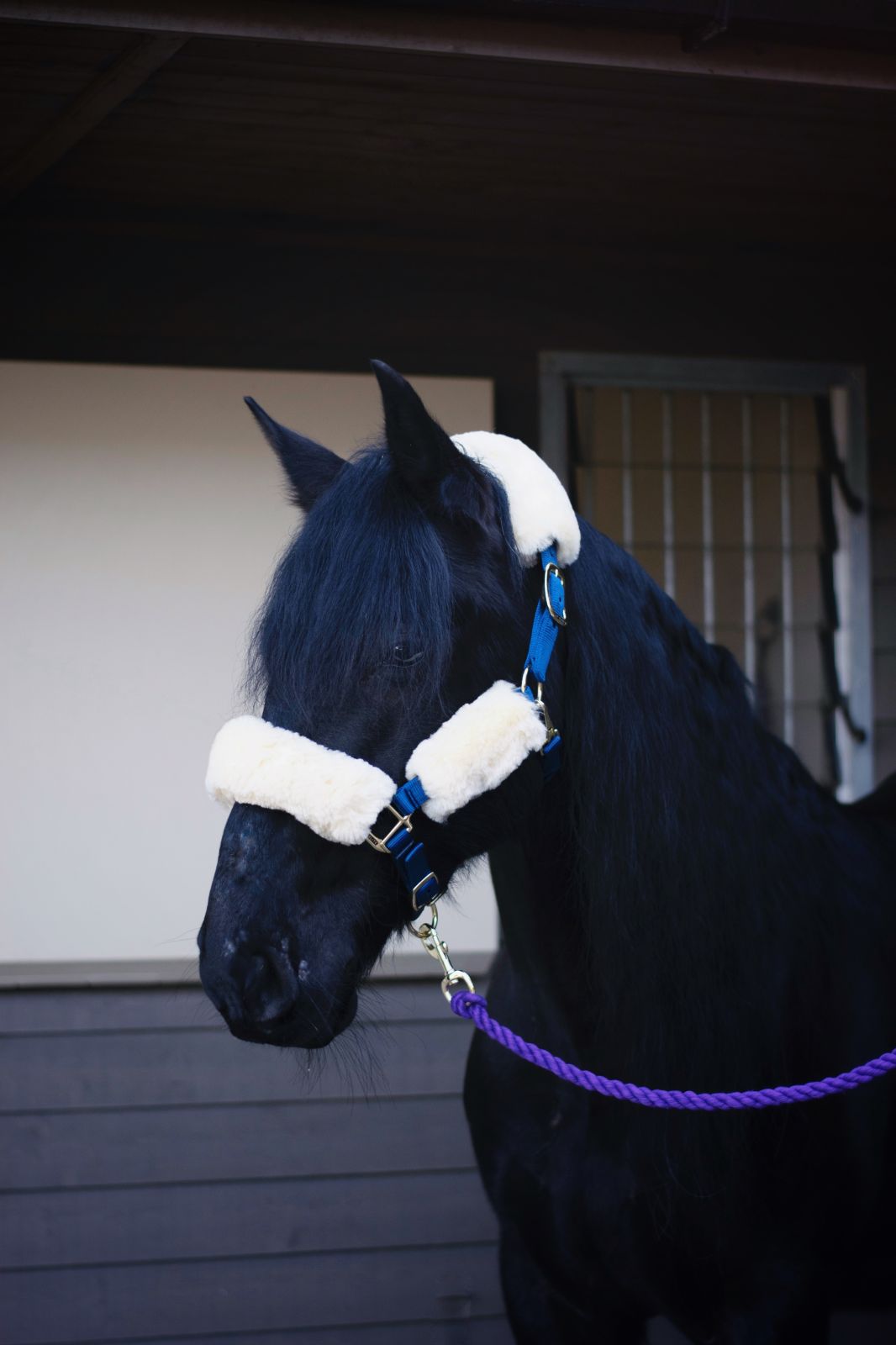 Lambswool headstall set