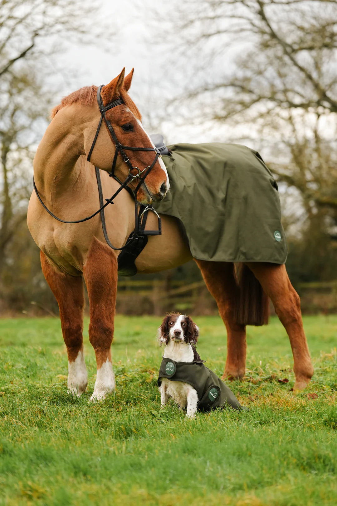 Hunter green matching horse and dog waterproof rug