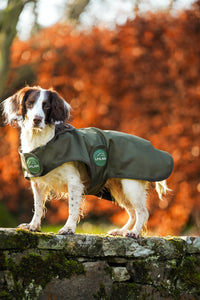 Hunter green matching horse and dog waterproof rug