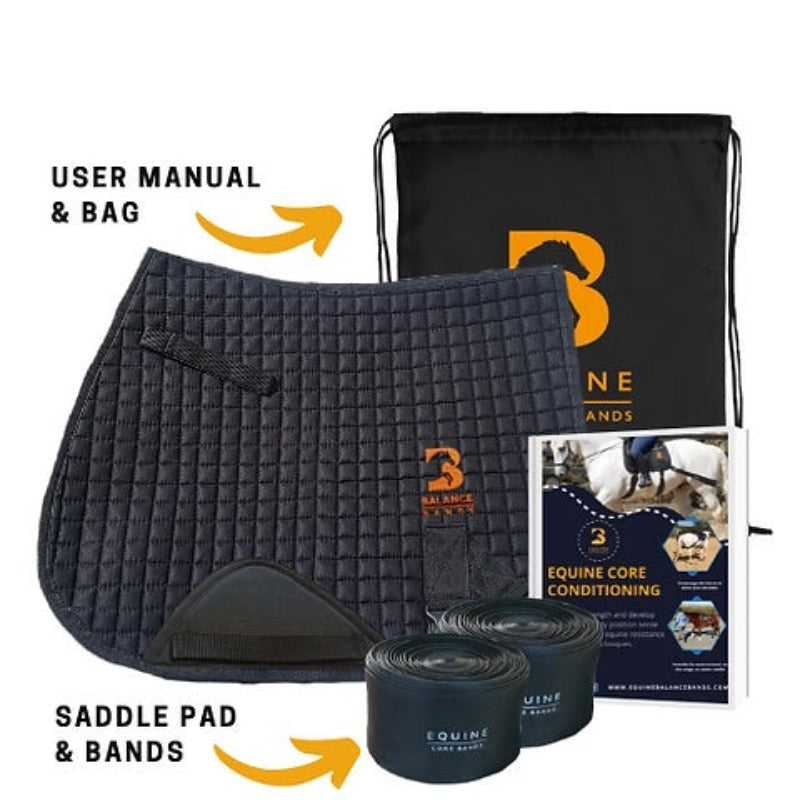 All purpose equine band system