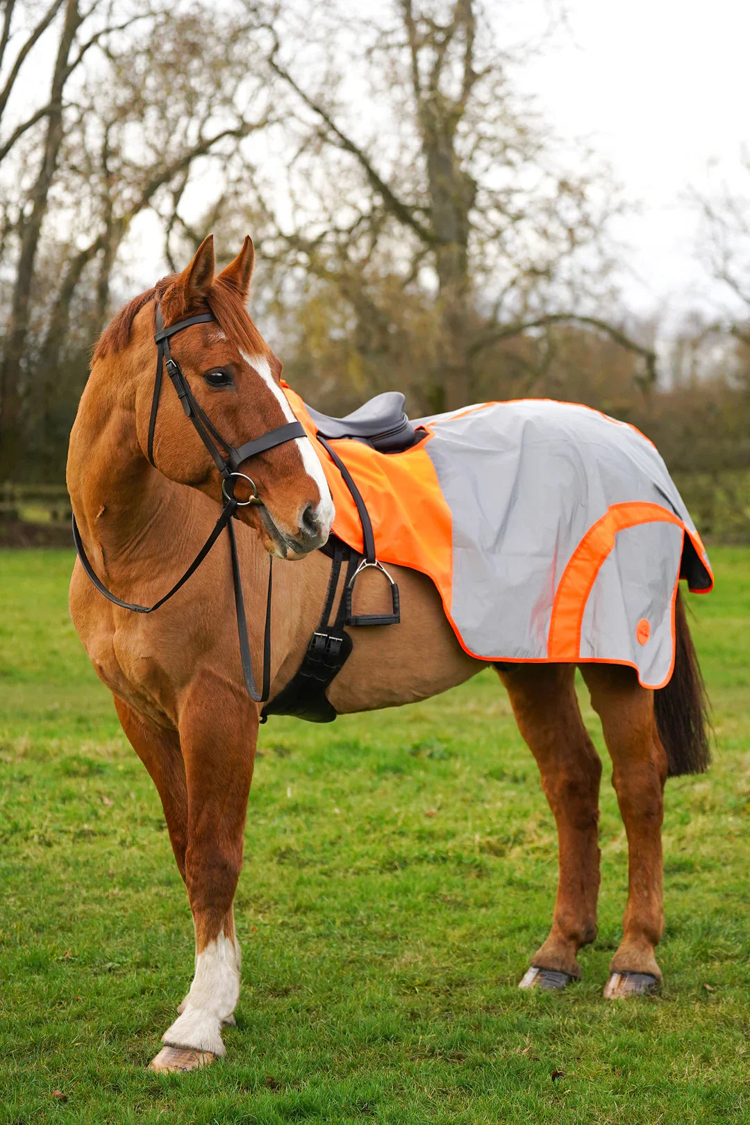 Orange hi vis reflected waterproof exercise sheet rug