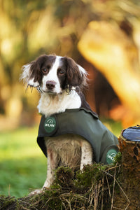 Hunter green matching horse and dog waterproof rug