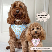 Daisy gingham adjustable neck harness