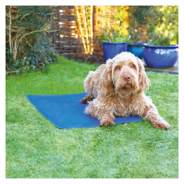 Rosewood pet cool mat