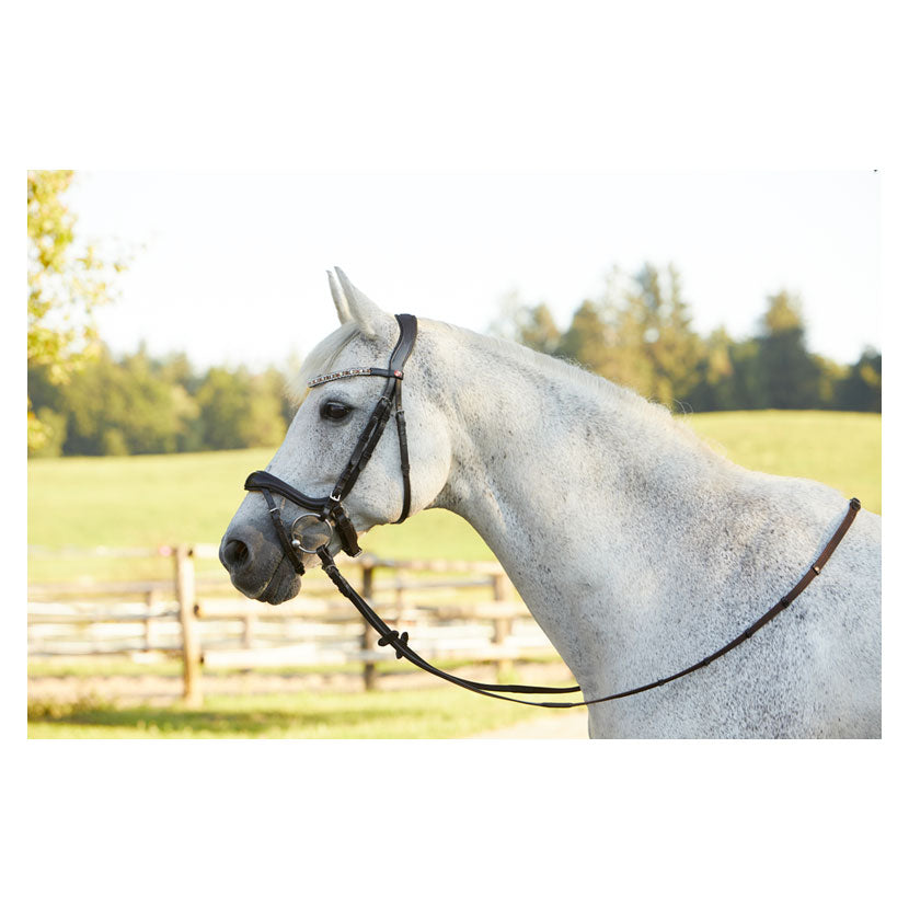 Kieffer Viola snaffle Bridle