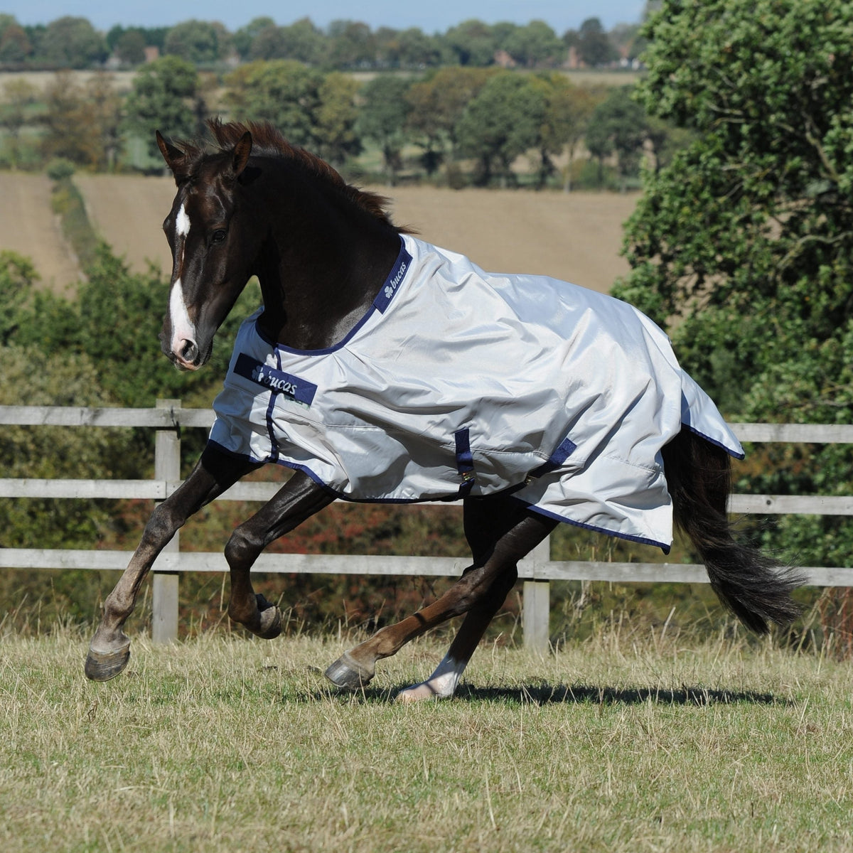 Bucas Sun Shower Rug