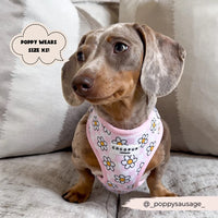 Daisy gingham adjustable neck harness