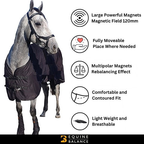 Magnetic horse rug - Equine Balance