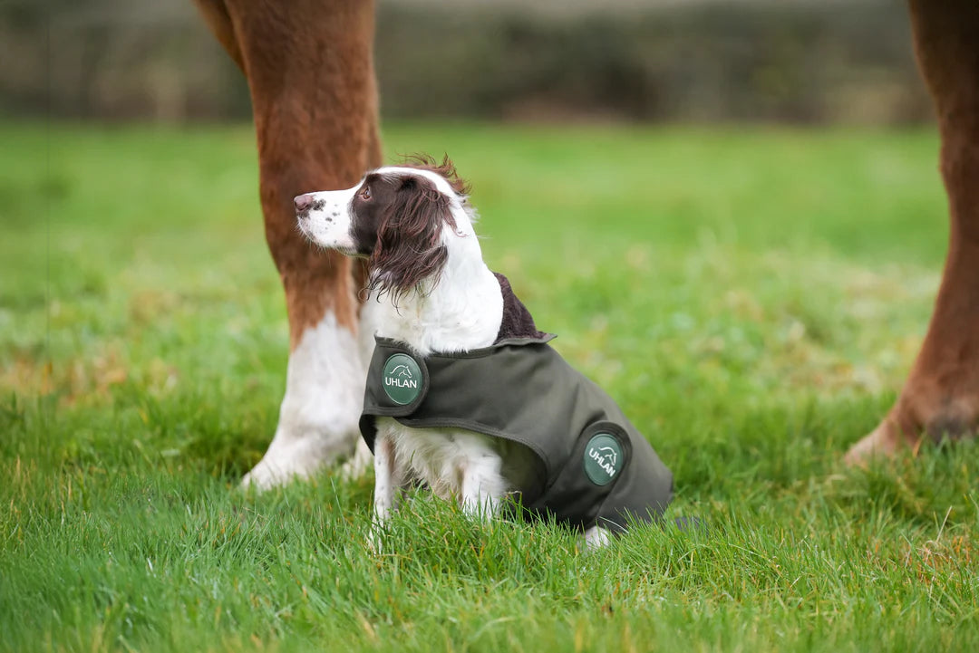 Hunter green matching horse and dog waterproof rug