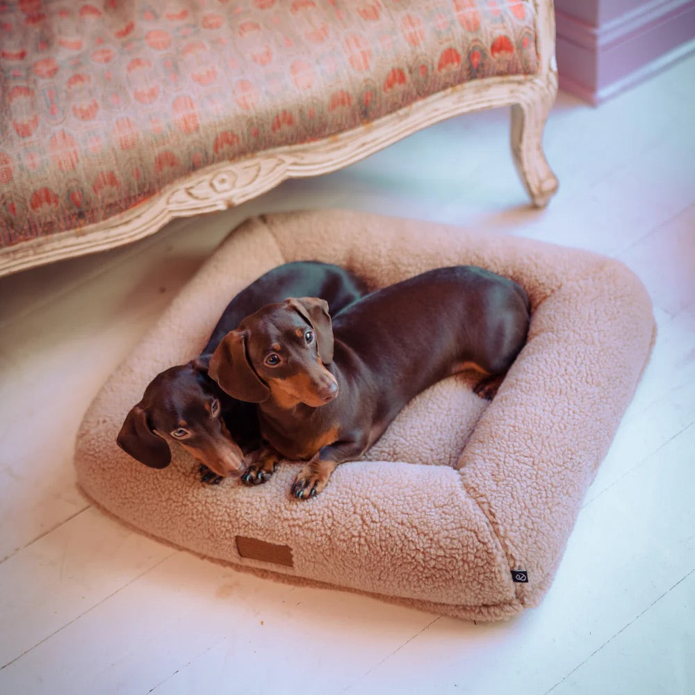 Cocopup x pup kit dog bed