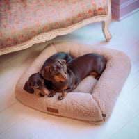 Cocopup x pup kit dog bed