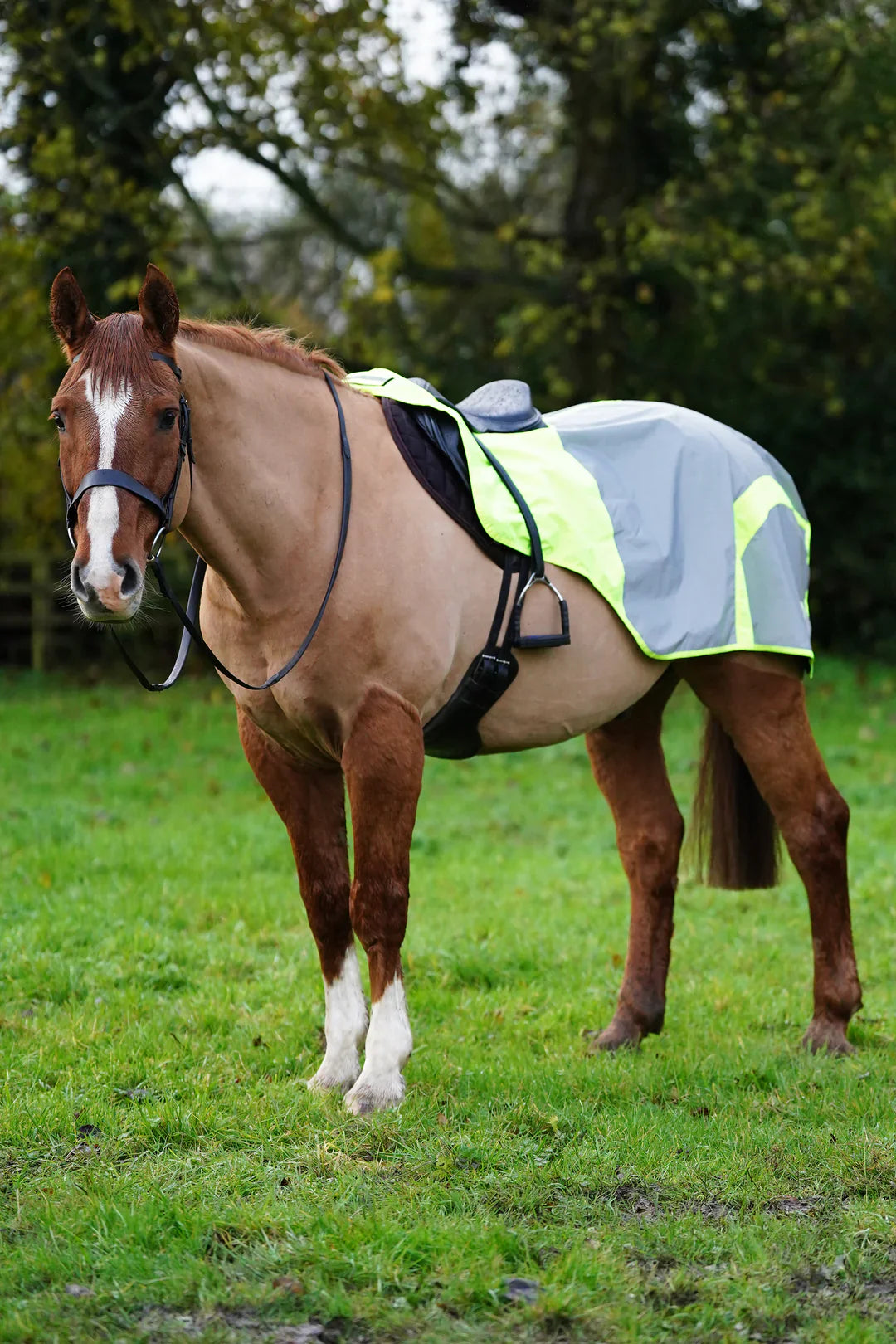 Yellow hi vis reflected waterproof exercise sheet rug