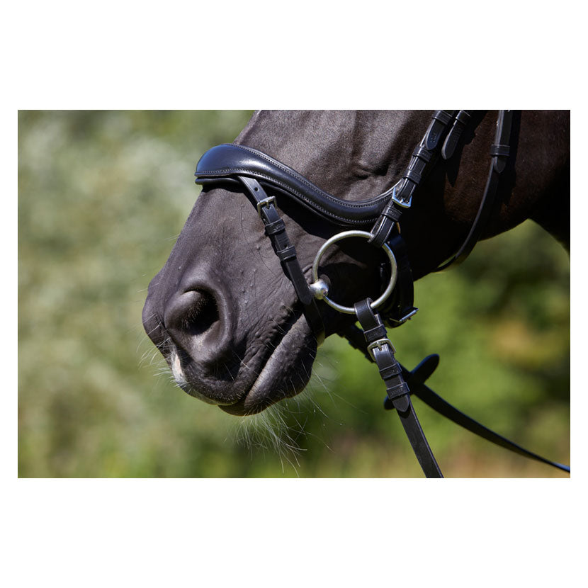 Kieffer Viola snaffle Bridle