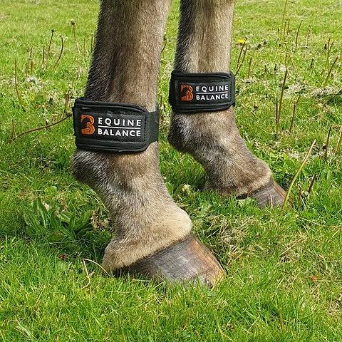 Magnetic Therapy Pastern Wraps by Equine Balance