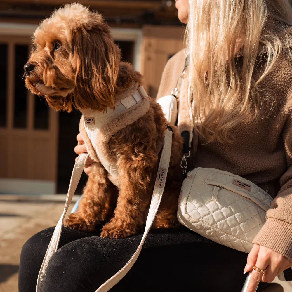 QUILTED ADJUSTABLE NECK HARNESS, LEAD & COLLAR BUNDLE