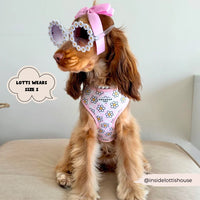 Daisy gingham adjustable neck harness