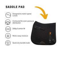 Dressage Equine Band System