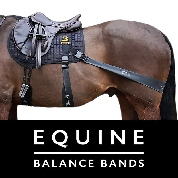 Equine Band System Sport - for All Purpose and Jump Style Saddles