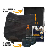 Dressage Equine Band System